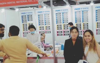 synthetic resin teeth